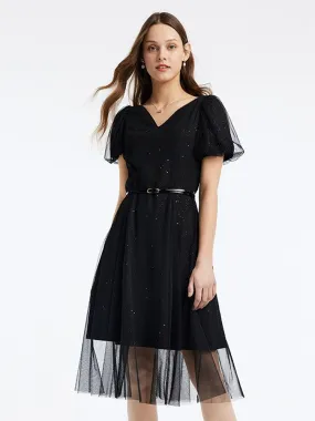 Black V-Neck Mesh Princess Sleeve Dress