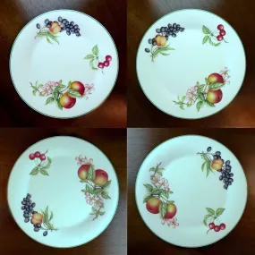 Royal Doulton Ashberry Porcelain Dinner Plate Set